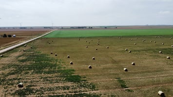 26767800