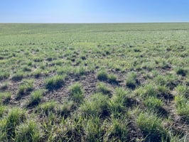 26768460
