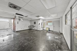 26781461