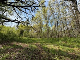 32336853