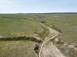 26805979