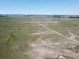 26805993