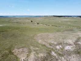 26805981