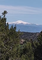26809880