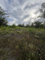 26820588