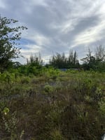 26820584