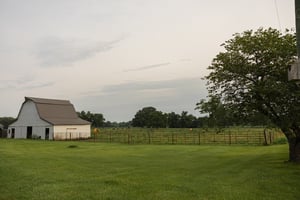 26846797