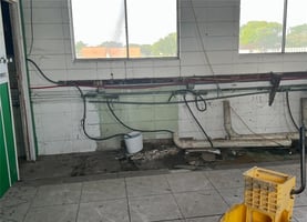 29509236