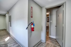 29155294