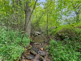 26867234
