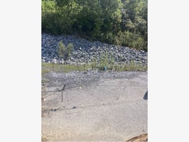 26877843