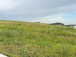 26877615
