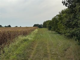 26879059