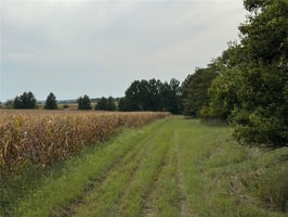 26879057