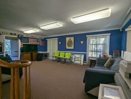 26943801
