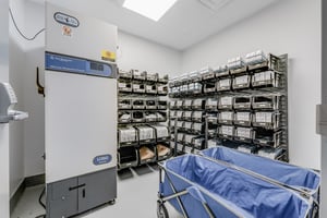 26889840