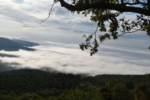 26891264