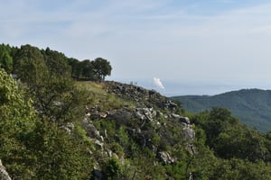 26891262