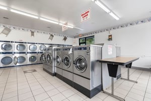 29361662