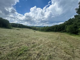 26898764