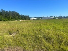27204251
