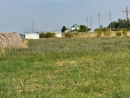 26916682