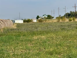 31652684