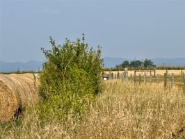 31652689