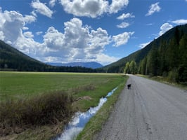 27026392
