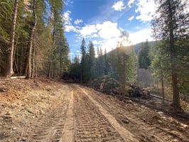 27026382