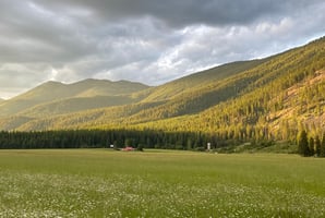 27026413
