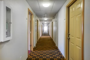 26918604