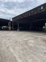 26924324