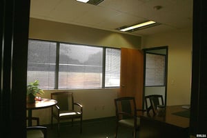 31655081
