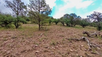 26923964