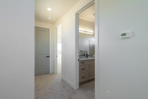 32349036