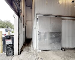 26928646