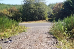 26934032