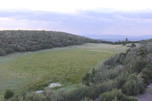 26938585