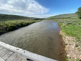 26942809
