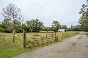 26946478