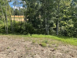26946760