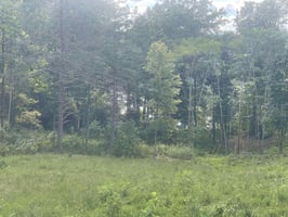 26946774