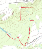 26948646