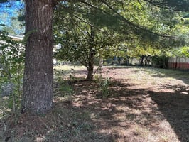 26961641