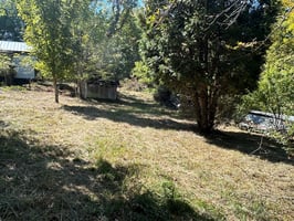 26961679