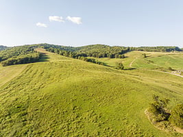26961768