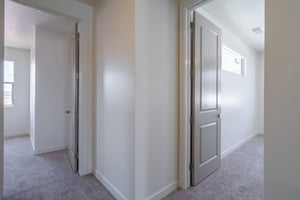 32618032