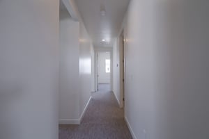 32618037