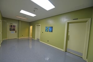 27000494